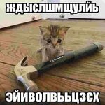 пипирка