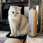 Валерий Сафронов