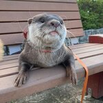 Катерина