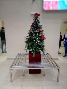 Фотография Западный 5