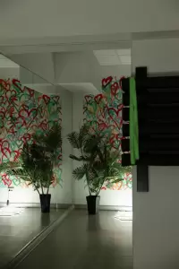 Фотография Stretch school 5