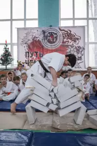 Фотография Путь Чемпиона 3